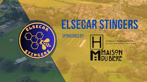 Image result for Elsecar Cricket Club