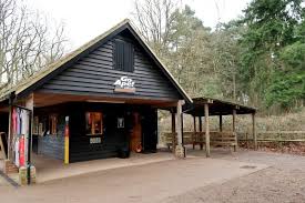 Image result for Go Ape! Thetford