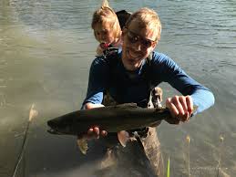 Image result for Salvelinus alpinus taranetzi