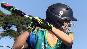 Image result for Cheetahs Softball Team