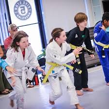 Image result for Devines Martial Arts