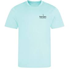 Image result for Harriers Acrobatic Gym Club