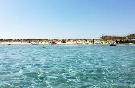 Image result for Lemmings Kitesurfing Club