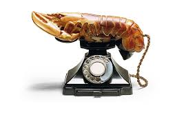Image result for dali lobster telephone