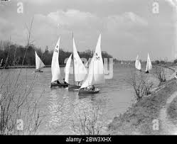 Image result for Tamesis Club