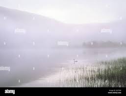 Image result for St Mary's Loch Sailing Club