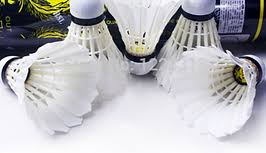 Image result for Racqueteers Jnr (Ashford) Badminton Club