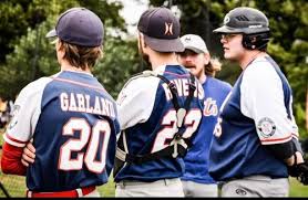 Image result for Norwich Iceni Baseball Club