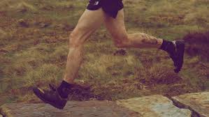 Image result for North Leeds Fell Runners