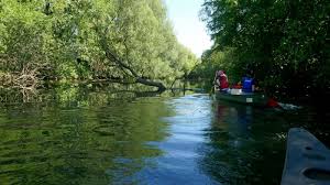 Image result for Solent Canoe Club