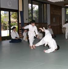 Image result for Martial Arts Karate Mesa AZ