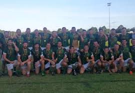 Image result for Wolfe Tones Gaelic Athletic Club
