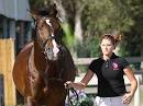 All 16 Horses Pa
ss Vet Check f ...