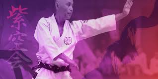 Image result for Seiki Juku Karate Organisation