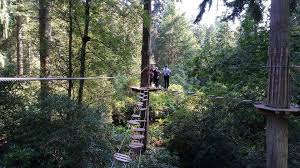 Image result for Go Ape! Thetford