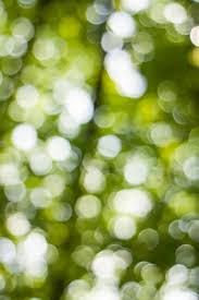 Image result for bokeh