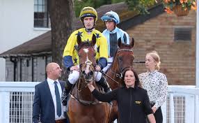 Image result for Ayr Riding Club