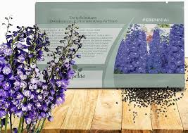 Attēlu rezultāti vaicājumam “Delphinium elatum  bud”