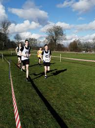 Image result for Tynedale Harriers Athletics Club