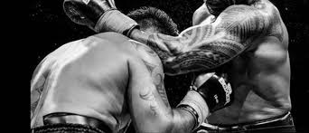 Image result for Cambridge Free Fight