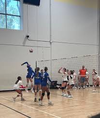 Image result for Devizes Volleyball Club