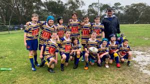 Image result for St Ives Rugby Club