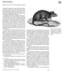 Attēlu rezultāti vaicājumam “Muridae”