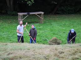 Image result for Nutley Hall Cricket Club