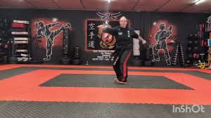 Image result for Nottingham Sankukai Karate