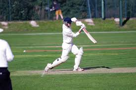 Image result for Bucklebury Cricket Club