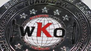 Image result for Fighting Arts Organisation of Great Britain