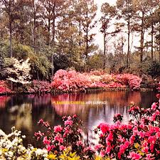 Image result for John Godwin's Newark Martial Arts