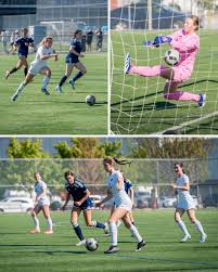 Image result for Crofton Albion Sports & Social Club