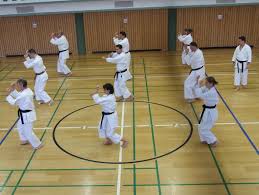 Image result for Uwe Karate Club