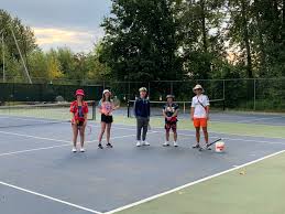 Image result for Crescent Lawn Tennis Club (Brislington)