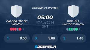 Image result for Box Hill SC