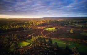 Image result for Hankley Common Golf Club