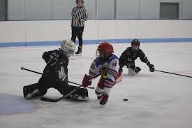 Image result for Cambridge City Junior Hockey Club