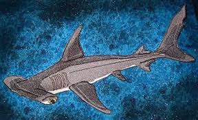 Image result for Sphyrna mokarran