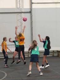 Image result for Penryn Netball Club