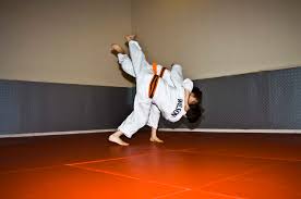 Image result for Craiglockhart Judo Club