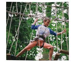 Image result for The Go Ape Experience (Delamere Forest)