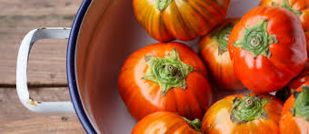 Afbeeldingsresultaat voor melanzana prosperosa eggplant