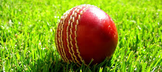 Image result for Ilford Cricket Club