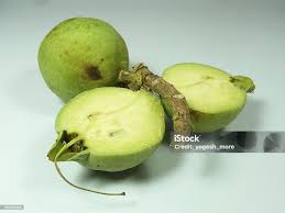 Attēlu rezultāti vaicājumam “Carex arenaria  fruit”