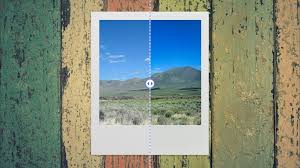 Image result for polaroids