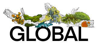 Attēlu rezultāti vaicājumam “Pogonatum dentatum macro”