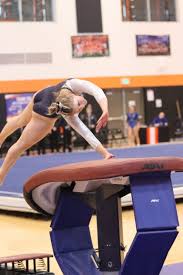 Image result for Biddick Sports College Community Gymnastics Club