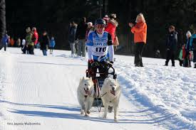 Image result for Team Ice Fire British Sled Dog Racing Team