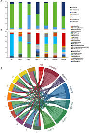 Attēlu rezultāti vaicājumam “Retinia resinella pupa”